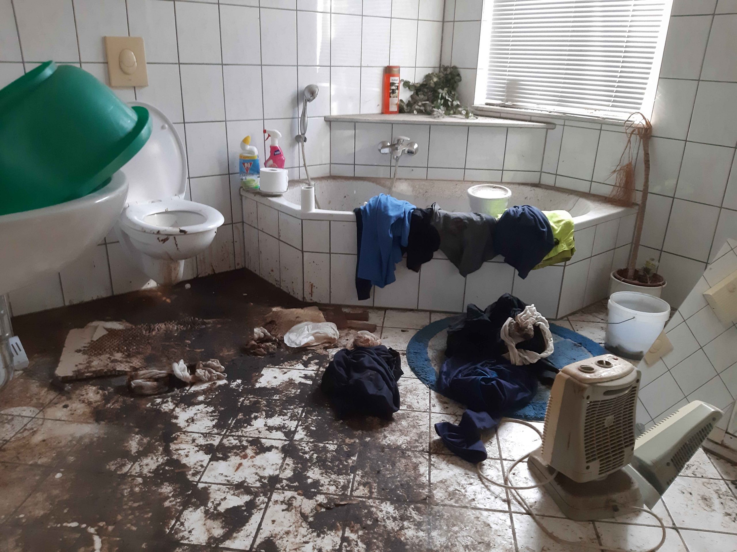 Fäkalreinigung Minden nach starker Verschmutzung